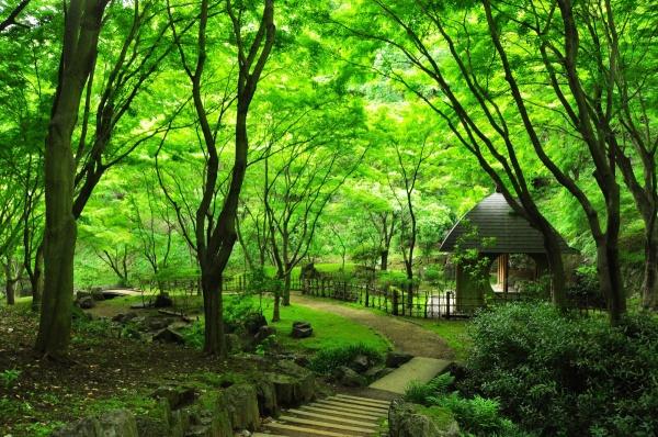 厚木市飯山南５丁目の中古一戸建て(七沢森林公園)