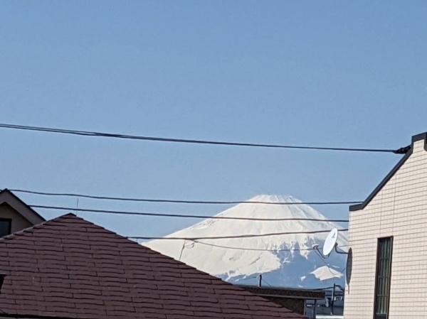 平塚市西八幡３丁目の土地