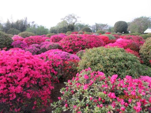 伊勢原市岡崎の新築一戸建(杉山つつじ園RVパーク)