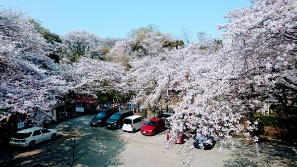 伊勢原市東富岡の中古一戸建て