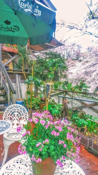 伊勢原市東富岡の中古一戸建