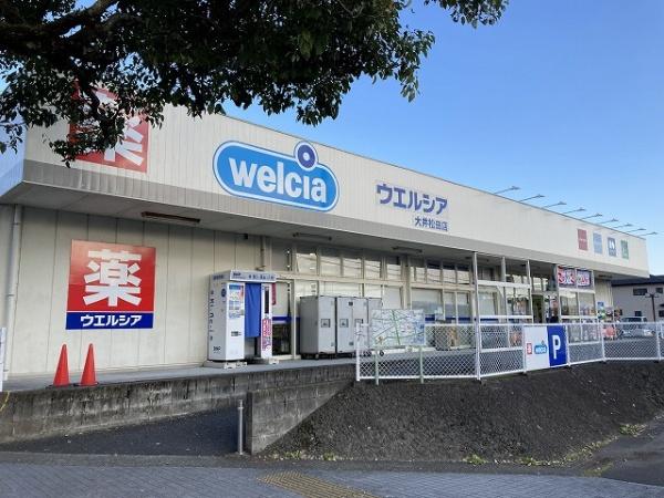 足柄上郡大井町金子の土地(ウエルシア大井松田店)