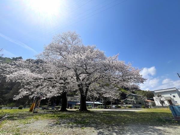 小田原市風祭の土地(奥山根公園)