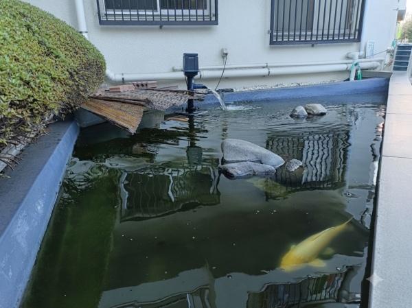 チュリス平塚