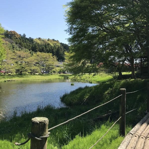 南足柄市塚原の新築一戸建(森と水の公園)