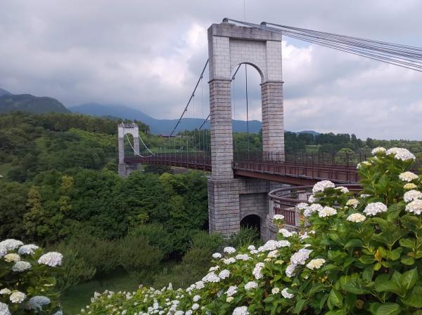 秦野市堀西の土地(秦野戸川公園)