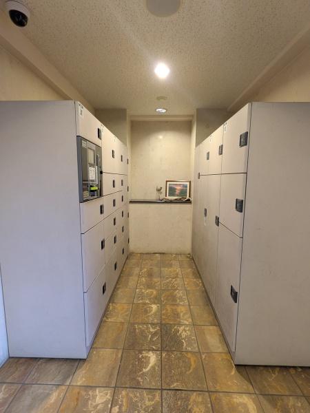 ダイアパレスグランデージ湘南平塚