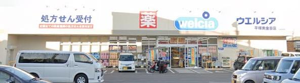平塚市南金目の中古一戸建て(ウエルシア平塚南金目店)