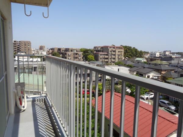 ココス八重咲