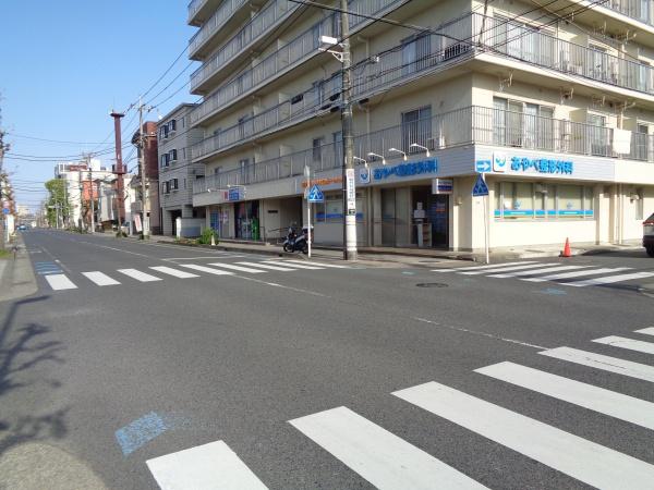 ココス八重咲