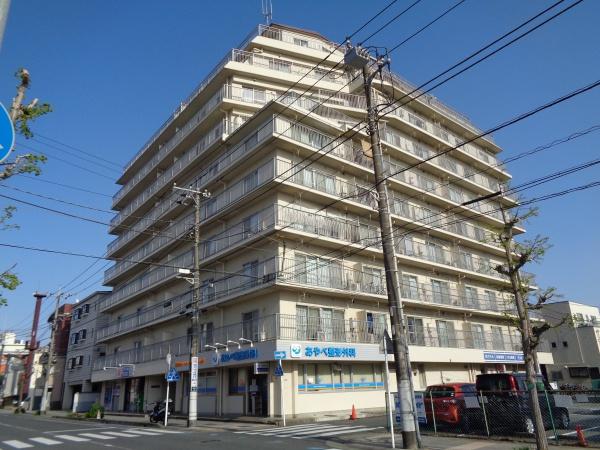 ココス八重咲