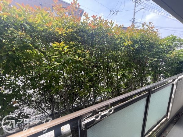 ライオンズマンション香里園　中古マンション