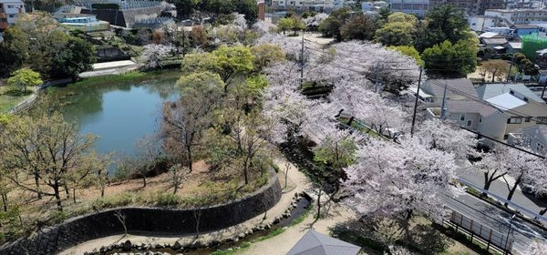 香里山ノ手アーバンコンフォート　中古マンション