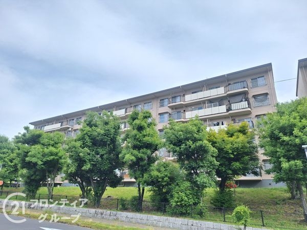 男山第４住宅３０１号棟　　中古マンション