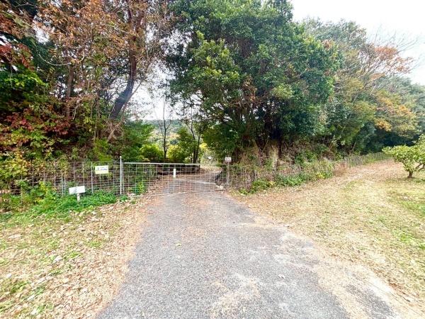 福岡県糸島市高祖字金剛土地