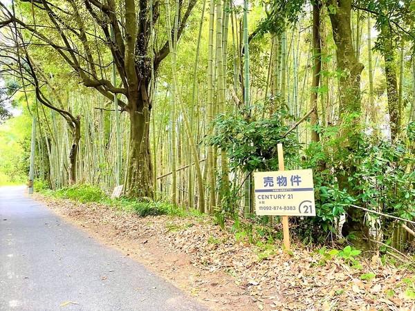 福岡市早良区大字石釜の土地