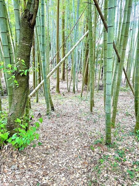 福岡市早良区大字石釜の土地