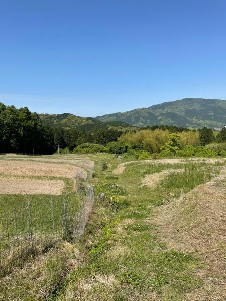 福岡市早良区大字石釜の土地