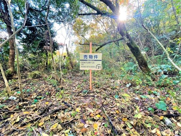 福岡市早良区大字内野の土地