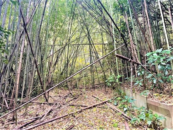 糸島市二丈一貴山土地
