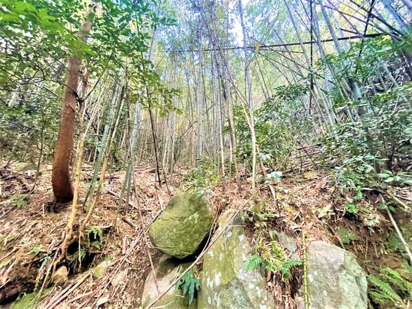 糸島市二丈一貴山土地