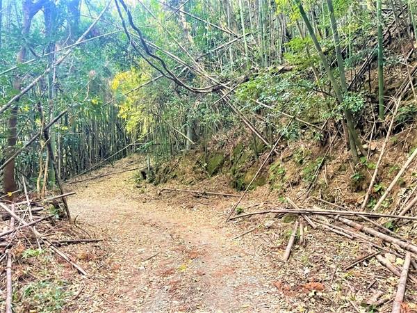 糸島市二丈一貴山土地