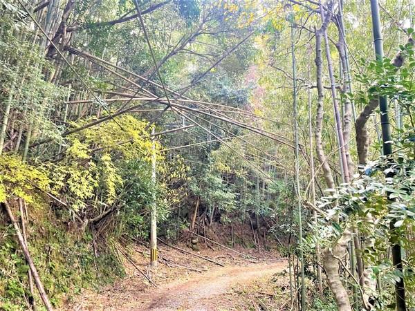 糸島市二丈一貴山土地