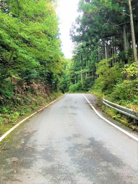 福岡市早良区大字椎原の土地