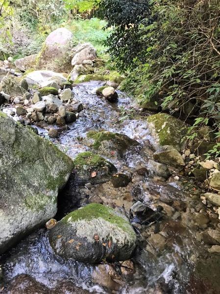 福岡市早良区大字石釜の土地