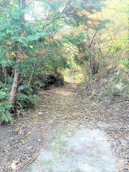 那珂川市大字上梶原の土地