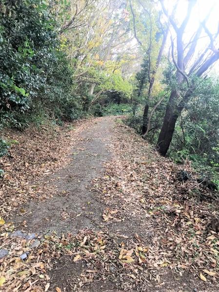 糸島市志摩桜井の土地