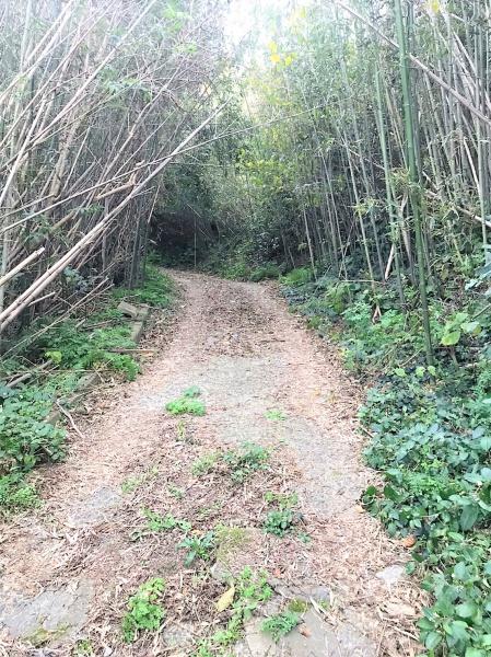 糸島市志摩桜井の土地