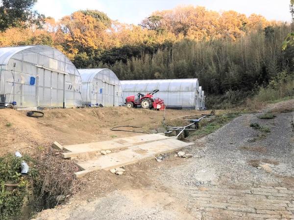 糸島市志摩桜井の土地