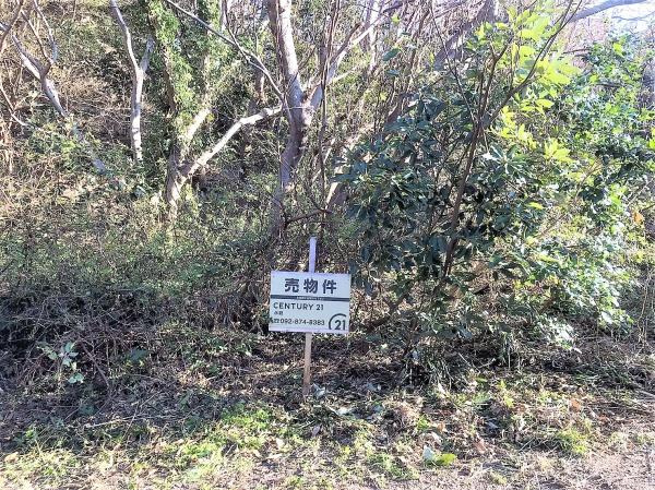 糸島市志摩桜井の土地