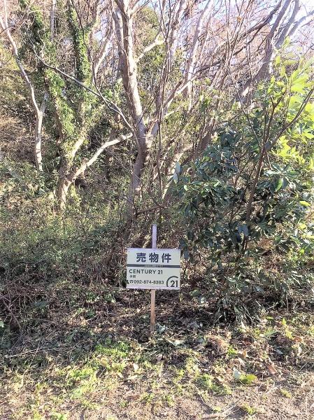 糸島市志摩桜井字萩尾土地