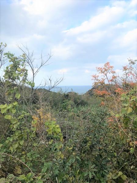 糸島市志摩桜井の土地