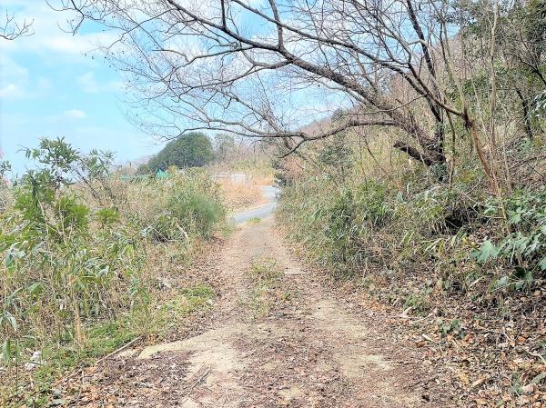 福岡市西区今宿上ノ原の土地