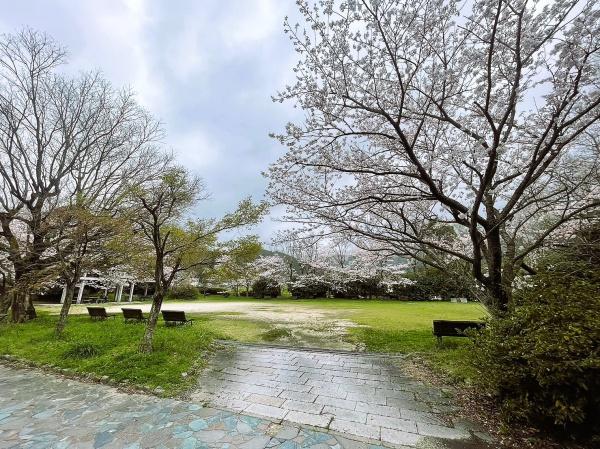 福岡市早良区大字椎原の土地