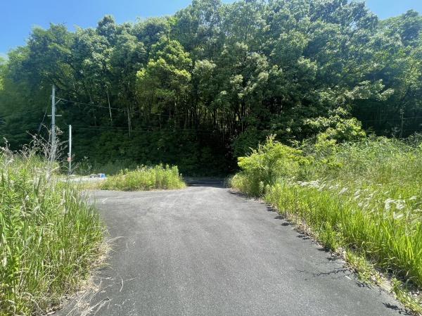 佐賀県鳥栖市江島町土地