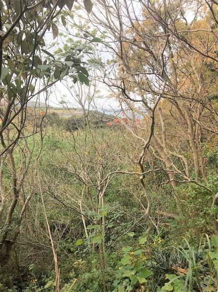 糸島市志摩桜井の土地