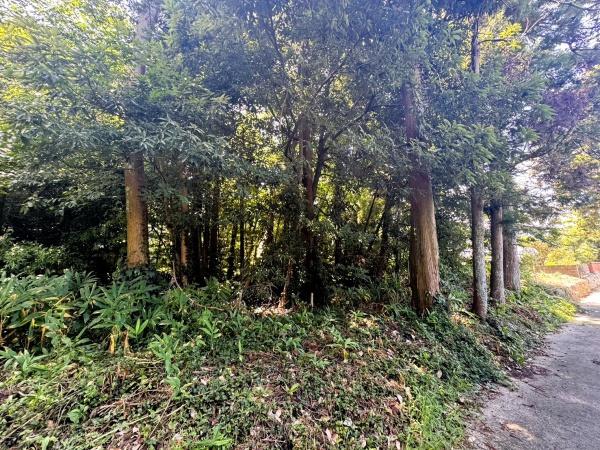 福岡市早良区東入部２丁目土地