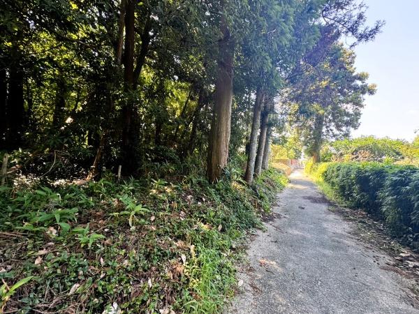 福岡市早良区東入部２丁目土地
