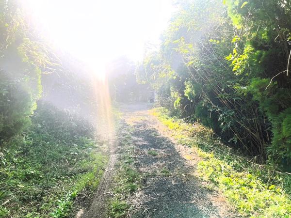 宗像市池田土地