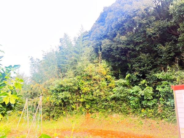 宗像市池田の土地
