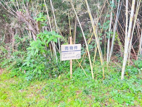 糸島市曽根字南土地