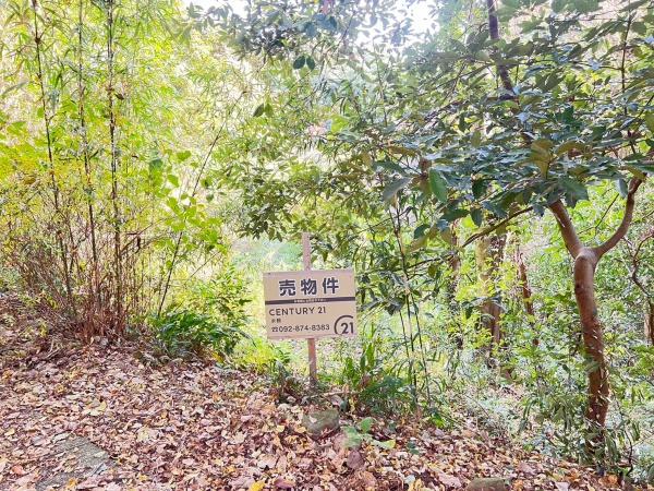 福岡県糸島市志摩小富士土地