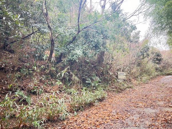 福岡県糸島市志摩小富士土地