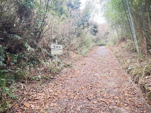 福岡県糸島市志摩小富士土地