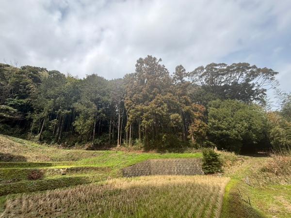 福岡市東区大字上和白土地