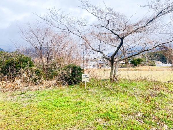 宗像市池田土地